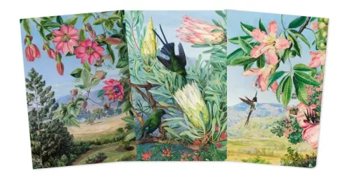 Kew Gardens: Marianne North Set of 3 Midi Notebooks