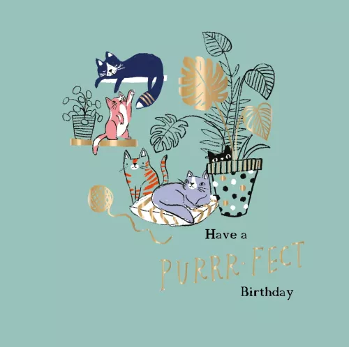 Purr-fect Birthday, Greeting Card