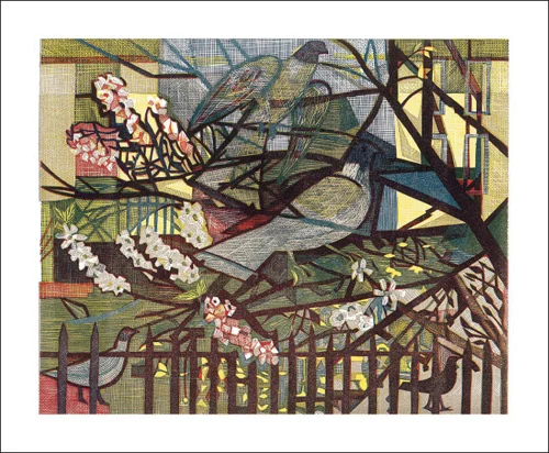 Pigeons, Greeting Card