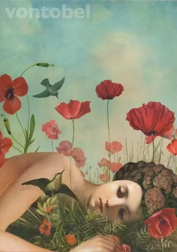 Poppy Field (2021), Postcard