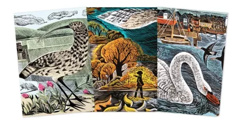 Angela Harding Set of 3 Midi Notebooks – Wildlife