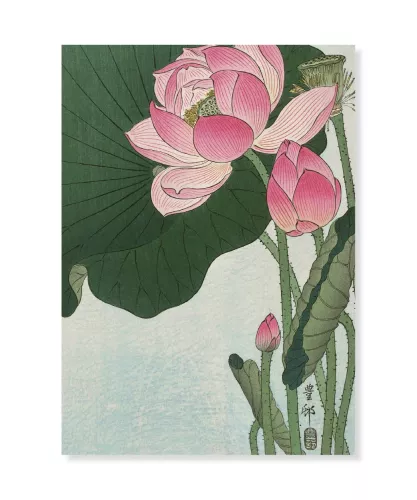 Blooming Lotus, Ohara Koson, Greeting Card