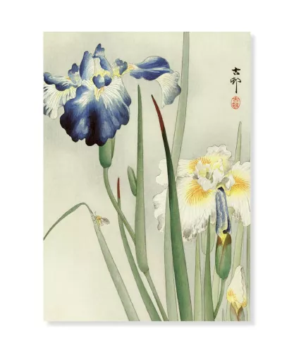 Irises, Ohara Koson, Greeting Card