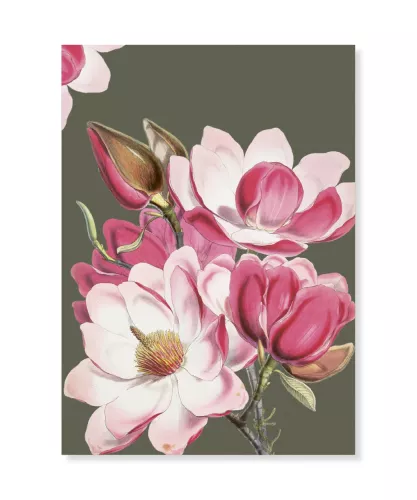 Magnolia, Greeting Card