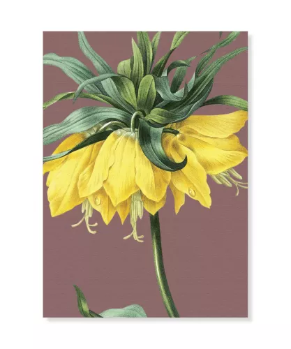 Crown Imperial, Greeting Card