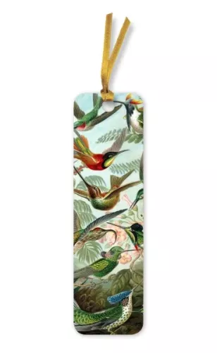 Ernst Haeckel: Hummingbirds Bookmarks