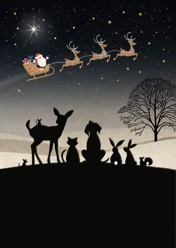 Santa Gazing, Greeting Card