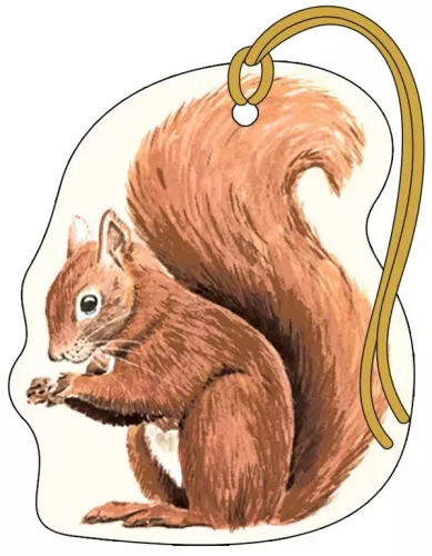 SQUIRREL TAG