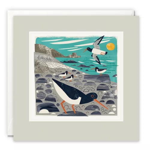 St Loy’s Cove Oystercatchers Paintworks Card