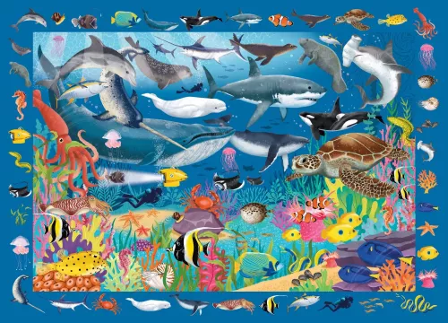 Seek & Find Puzzle Under The Sea