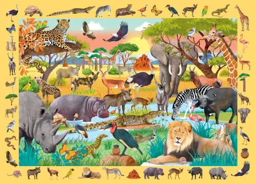 Seek & Find Puzzle Safari
