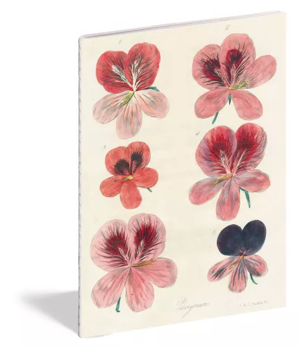 John Derian Paper Goods: In the Garden Notebooks