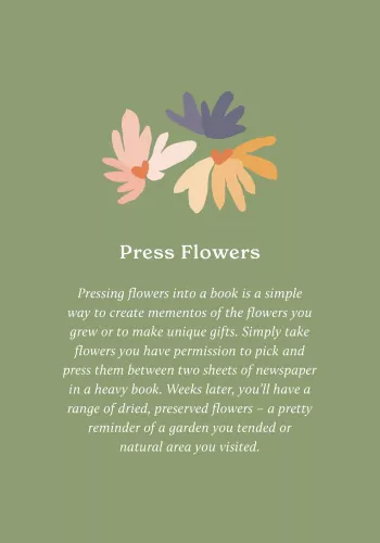 100 Ways to Reconnect with Nature Everyday cards for wherever you live