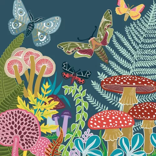 Butterflies And Moths, Greeting Card