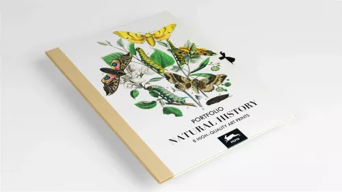 Natural History, Art Portfolio