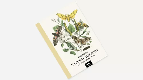 Natural History, Art Portfolio