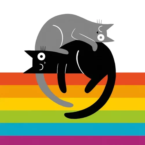 Rainbow Cats, Greeting Card