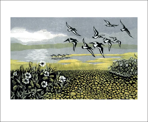 Blakeney Oyster Catchers