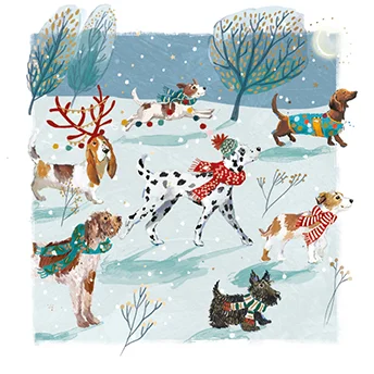 Paw-Fect Christmas, Christmas Box Premium