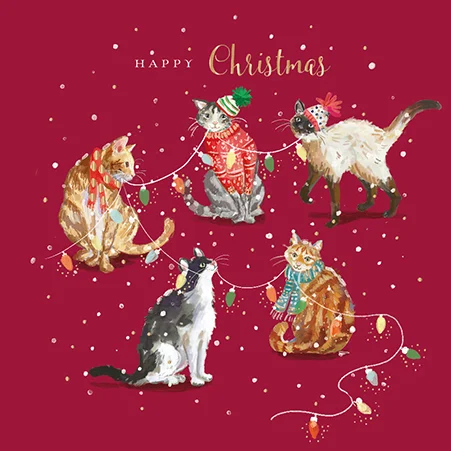 Purr-Fect, Greeting Card