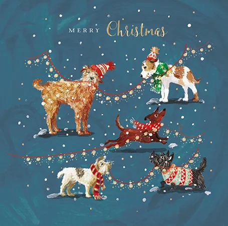Woollies Paw-Fect, Greeting Card