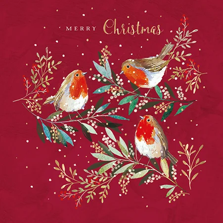 Christmas Festive Robins, Greeting Card