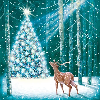 Wonderland Enchanted, Christmas Box Deluxe