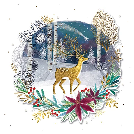 Winter Forest, Christmas Box Deluxe