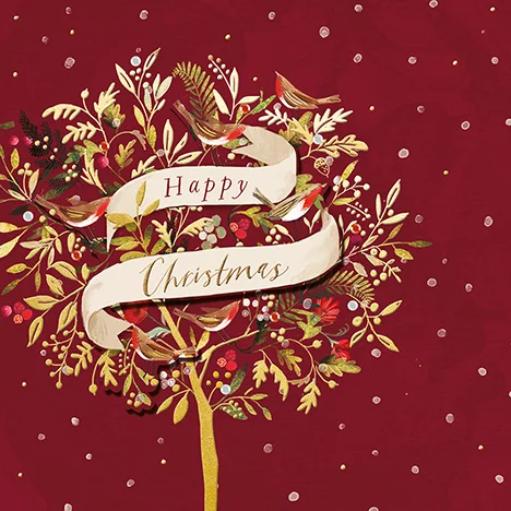 Festive Robins, Christmas Box Deluxe