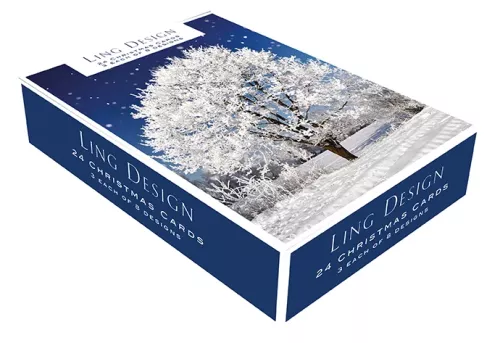 Winter Scenes, Christmas Big Value Boxes