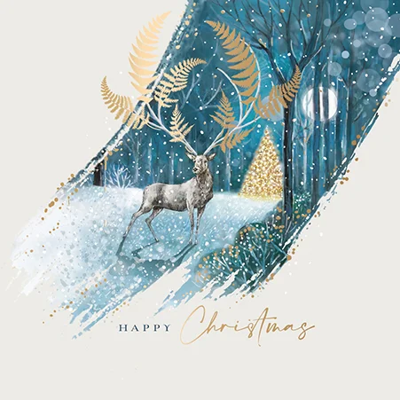 Magical Forest, Christmas Wallet Packs