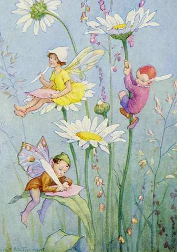 Fairy Land with daisies, Greeting Card