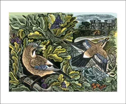 Knepp Jay and Oak Tree, Greeting Card