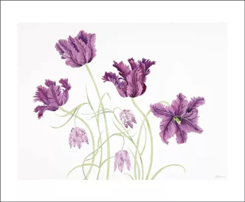 Parrot Tulips and Fritillaries, Greeting Card