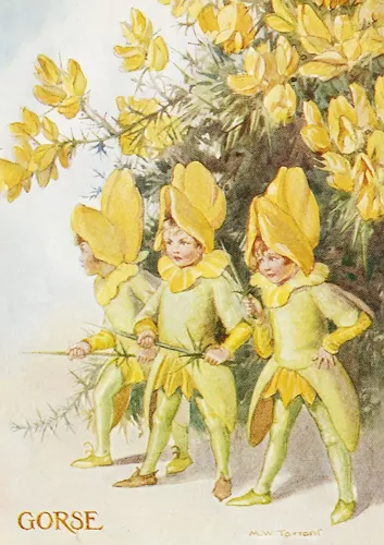 Fairy Land with gorse, Greeting Card