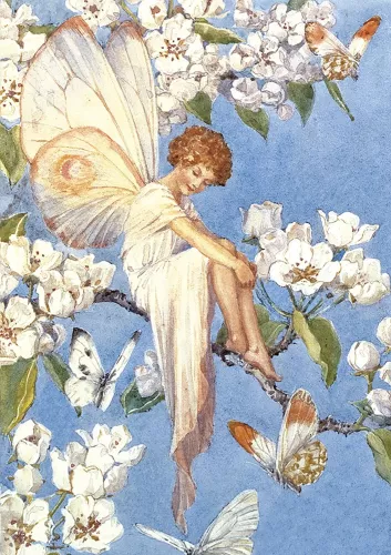 Fairy Blossom Tree, Greeting Card