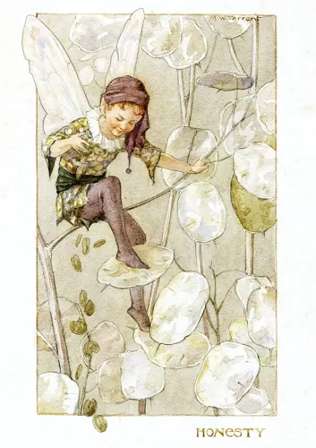 Fairy Land with honesty, Greeting Card