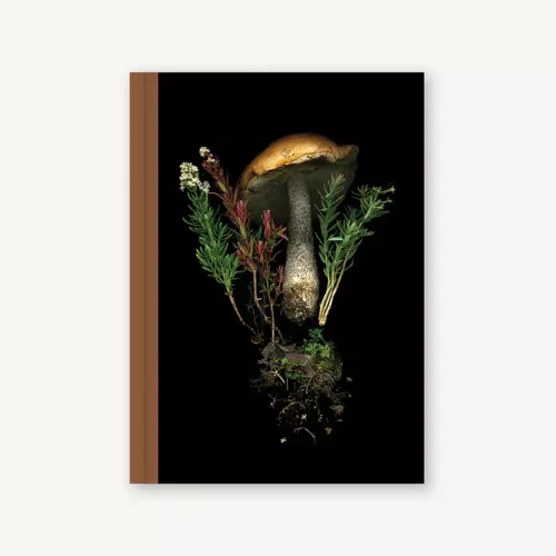 Deep Dark Forest Mushroom Journal
