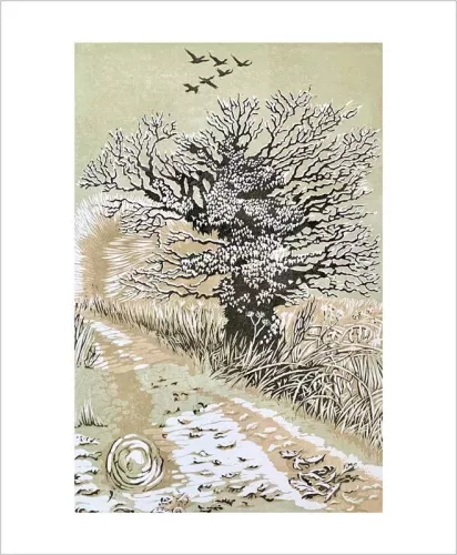 Frosted Oak by Niki Bowers, Greeting Card