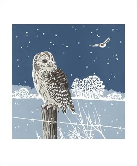 Winter Tawnies by Lizzie Perkins, Greeting Card