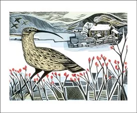 Curlew Christmas linocut by Angela Harding, Greeting Card