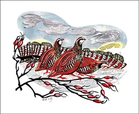 Red Legs by Penny Bhadresa, Greeting Card