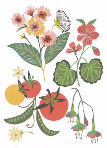 Greenhouse, Greeting Card