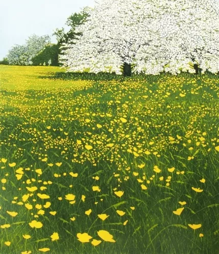 May, Greeting Card