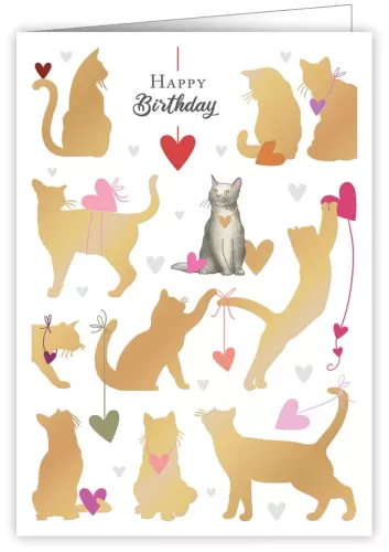 Cats, Happy Birthday, Greeting Card, 3676