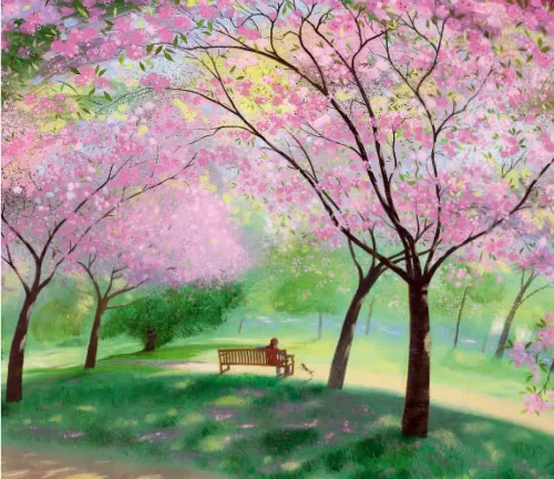 Blossom in the Park, Greeting Card