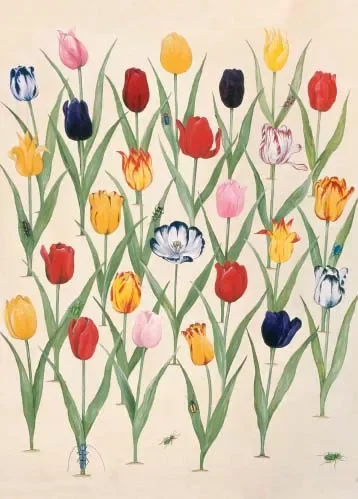 Every Beetle is a Gazelle in the Eyes of its Mother, Greeting Card