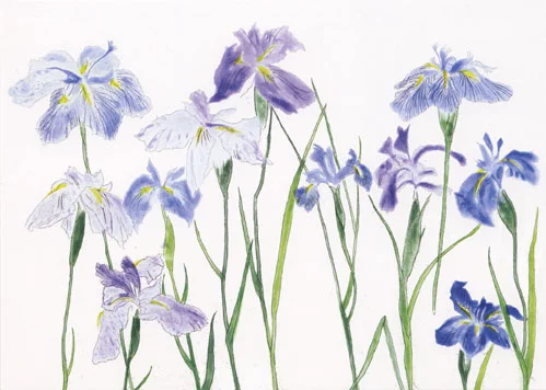 Irises, Greeting Card