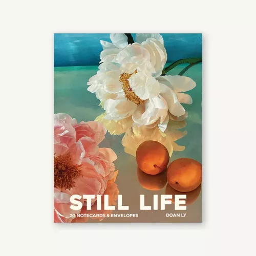 Still Life Notecards 20 Notecards and Envelopes