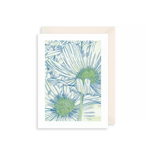 Daisies Greetings Card